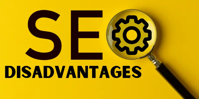 Disadvantages of SEO